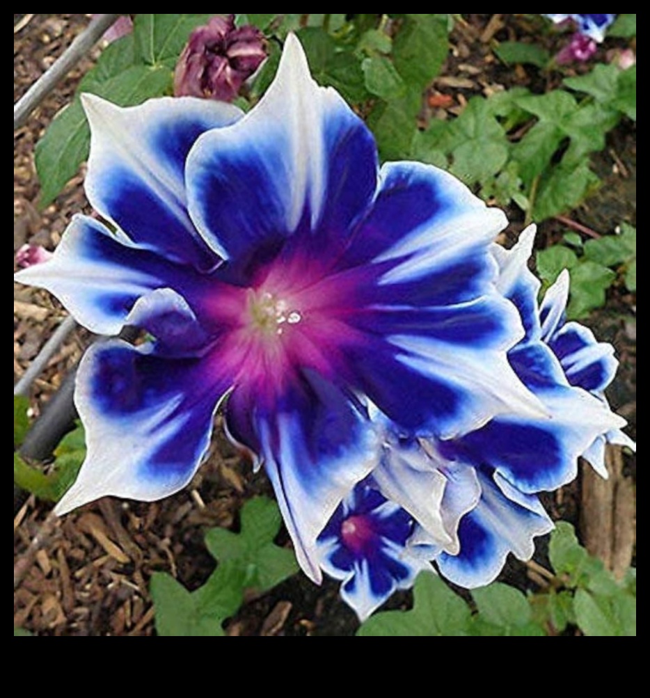 Morning Garden Glory: Hrănește-ți corpul cu sucuri proaspete de legume