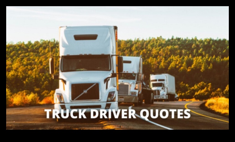 Highway Chronicles: Povești personale de la șoferii de camion pe drumul deschis