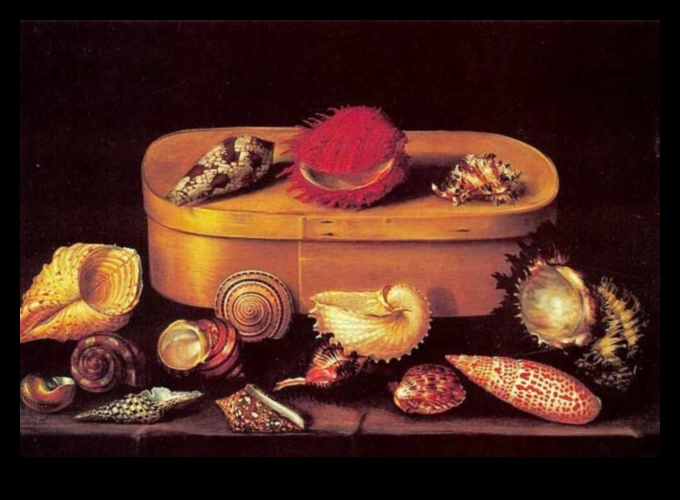 Obiecte în repaus: explorarea lumii naturii moarte