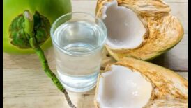 Elixirurile bogate în nutrienți îți îmbunătățesc sănătatea cu amestecuri de apă de nucă de cantator 5 Elixire bogate în nutrienți: îmbunătățiți-vă sănătatea cu amestecuri de apă de nucă de cocos