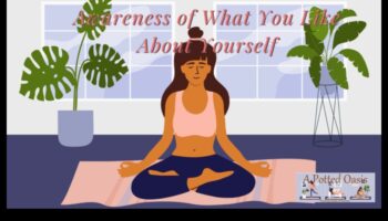 Gândirile meditative: o călătorie ghidată către o viață conștientă